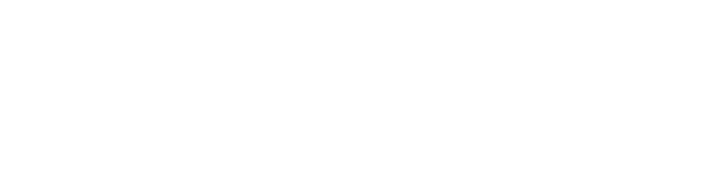 ЦИФРОВІ ШЛЯХИ СВОБОДИ